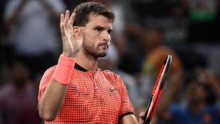 НА ЖИВО: Григор Димитров - Доминик Тийм 6-4, 4-6, 6-7 (9)