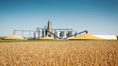 Отново спад в цената на зърно на световните борси