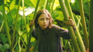 Тайната градина на Франсис Бърнет е една от най хубавите детски