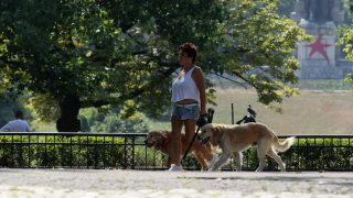 В София глобиха петима, непочистили след кучетата си в парка