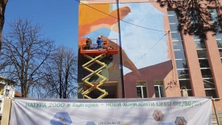 Образите на две белошипи ветрушки вече красят централната фасада на