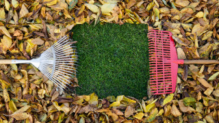 Всеки който се грижа за градина или пък се старае