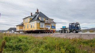 31 от младежите на възраст до 31 години и 16