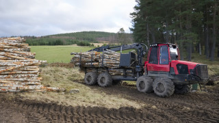 С бърза комисия ПП предлага да се реши кризата с дървата