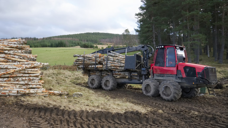 Колко струват дървата за огрев от складовете на държавните горски стопанства?