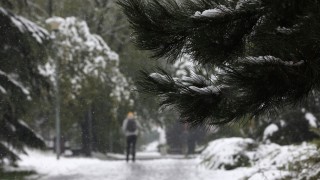 Над 100 сигнала са получени за паднали дървета 60 от