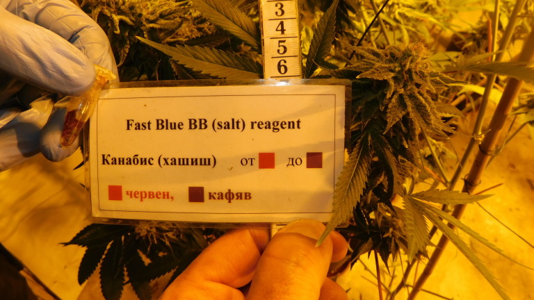 Изображение 413545