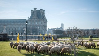 Ядосани френски фермери блокираха известния булевард Шанз Елизе на протест срещу