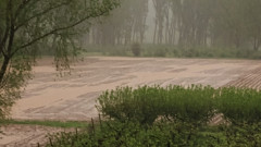 Село Лехчево най-сериозно пострадало след пороите в Северозападна България