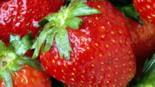 Испания търси 3333-ма българи за бране на ягоди