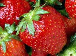 Набират 400 жени за бране на ягоди в Испания