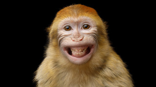 Има ли по ефективен начин да внесем малко радост в деня