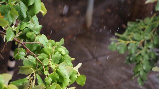 Поройни дъждове в Северна Румъния причиниха наводнения които отнеха живота