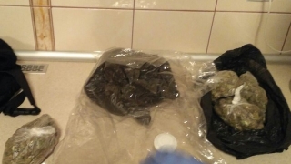 Полицията хвана над 350 кг канабис в Бобошево
