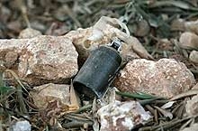 Ръчна граната тип "лимонка" откриха край Асеновград