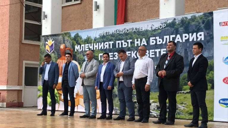 Изображение 376845