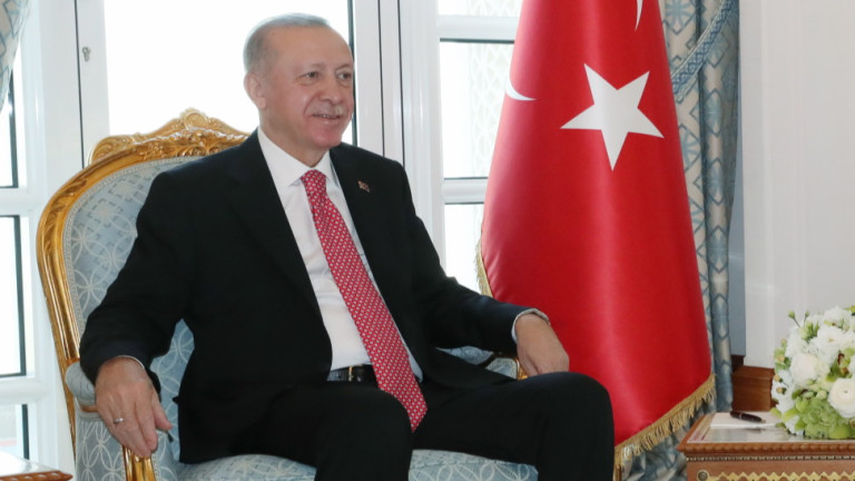 Турският президент Реджеп Ердоган каза, че Турция ще използва правомощията
