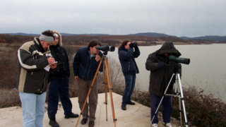 Преброиха 1 000 водолюбиви птици край Ивайловград