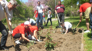 Социалисти засадиха 150 рози в Розариума на Варна