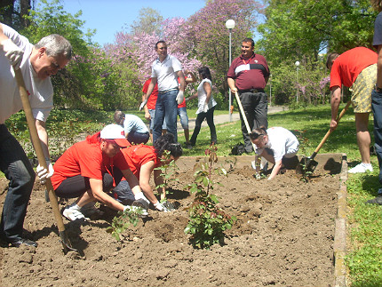 Социалисти засадиха 150 рози в Розариума на Варна