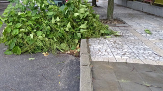 Собственици на гори скочиха срещу фирма, която разчиства пътя от Мездра до Ботевград