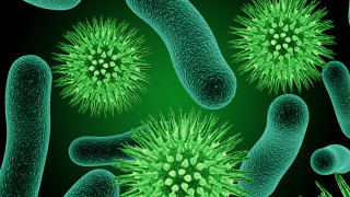 Човек може да се зарази едновременно и с грип, и с коронавирус, потвърди вирусолог