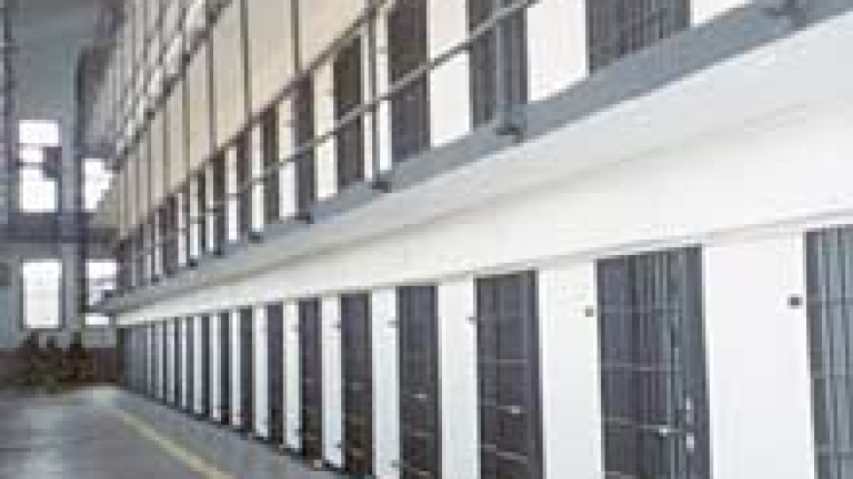 Изображение 8245