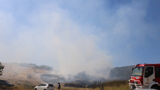 Голям пожар избухна между селата Коларово и Изворово Горят лозя и