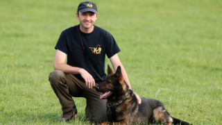 Българското дружество за защита на птиците е неправителствена организация която