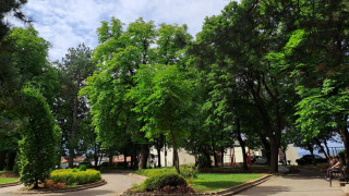 Ден след трагичния инцидент при който п в Пловдив от