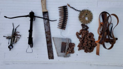 82 зверства над животни: Повдигнаха обвинения на задържаните в Свищовско