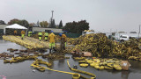 След пожарите, риск от наводнения в Калифорния