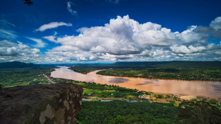 Маймуна с призрачни бели кръгове около очите е сред 224 те