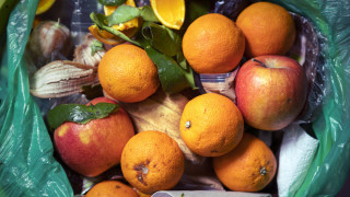 Седемнадесет процента от храната достъпна за потребителите по целия свят