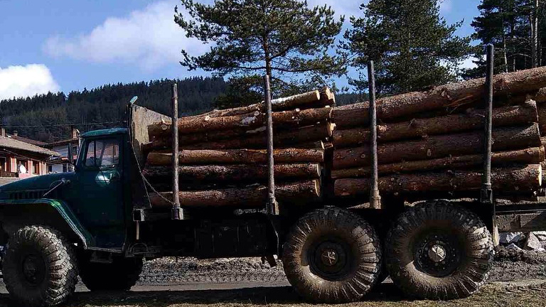 По дирите на липсваща контролна марка за дървесина тръгнаха в Петрич