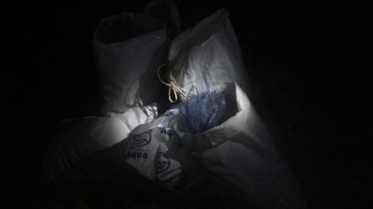 Изображение 601746