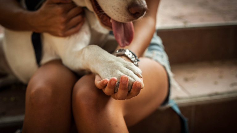 Изображение 382146