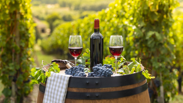 6 недооценени винени региона във Франция, които си струва да посетим