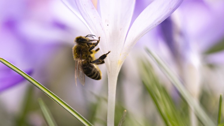 Изображение 752646