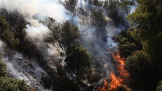Силна мълния предизвика два пожара на гръцкия остров Тасос в