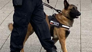 Полицейски патрули с куче следят за обществения ред в Бургас