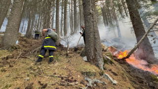Пожар избухна край село Стефан Караджово община Болярово съобщава БНТ