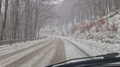 Закъсали тирове, снеговалеж и паднали клони и дървета блокират пътищата в страната