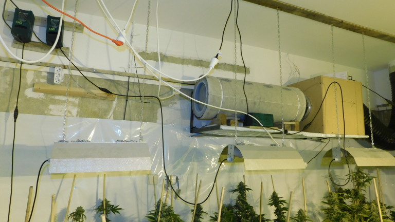 Изображение 413546