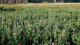 Протести в северната афганистанска провинция Бадахшан бяха потушени от талибаните