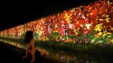 TikTok teamLab Reconnect и уникалната комбинация от сауна и изкуство