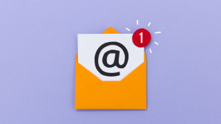 Би било разумно да заключим че ползването на електронна поща