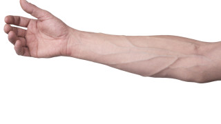 Ако някога сте задавали въпроса Защо вените са сини щом