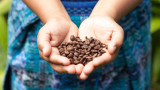 Гватемала, кафето и защо непременно трябва да опитаме гватемалското кафе