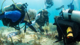  Как ще възстановим коралите 